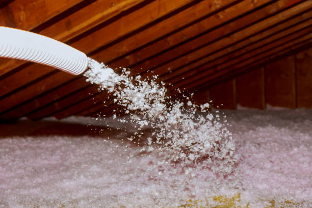 Best Insulation for New Construction  in Thorndale, PA